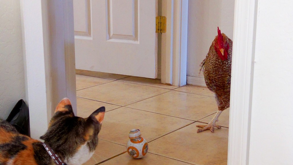 Photo by Daniel Tuttle on Unsplash